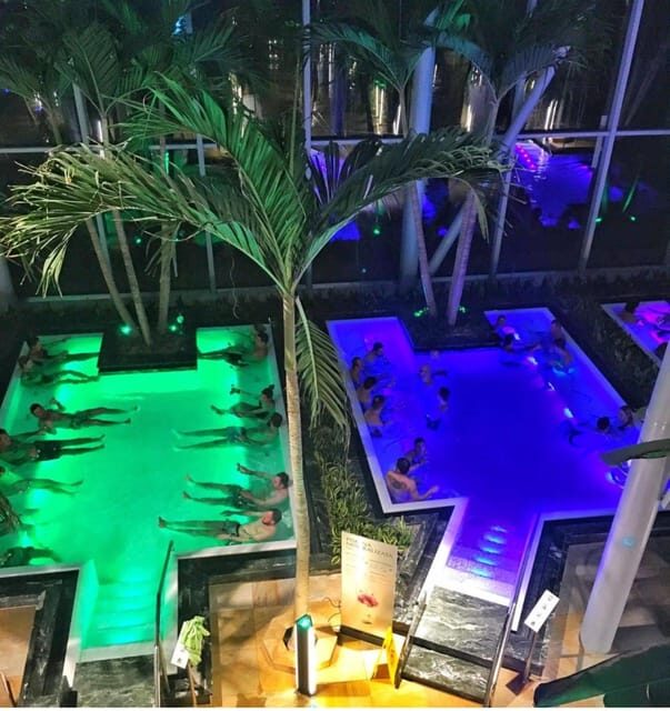 Bucharest: Therme Spa Night Experience with Transfer - Botanical garden views and that indoor palm spectacle