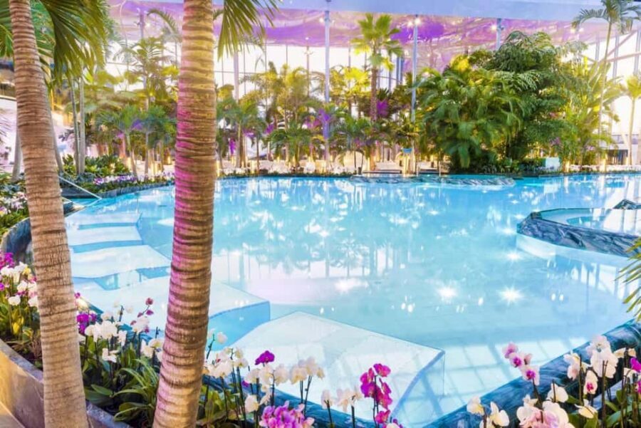 Bucuresti: Bucuresti Therme Transfer and Full-Day Access - Therme Bucharest: Galaxy for slides, The Palm for reset