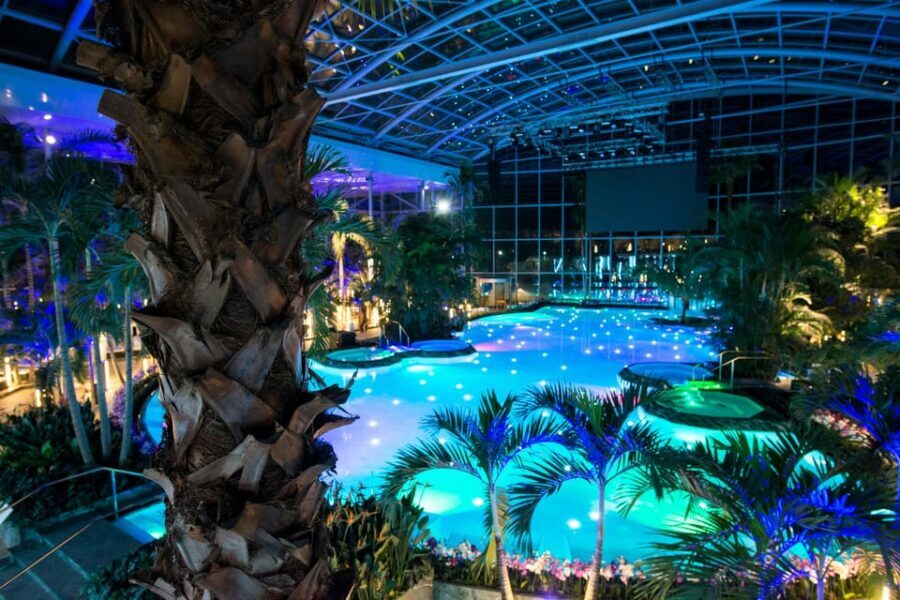 Bucuresti: Therme Bucharest Evening Entry Ticket & Transfer - Palm vs Galaxy: Adults-First Energy and a Built-In Kids Rule