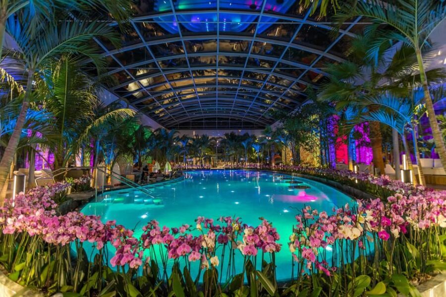 Bucuresti: Therme Bucharest Evening Entry Ticket & Transfer - Geothermal Water + Botanical Garden: The “Okay, This Is Different” Part