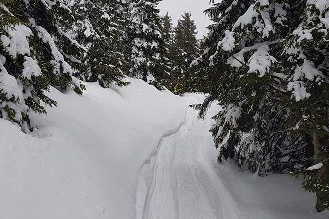 Carpathian mountains Snowmobile, ATV or Buggy tour in one day - How the day runs from Bucharest (and why the 7:00 am start matters)