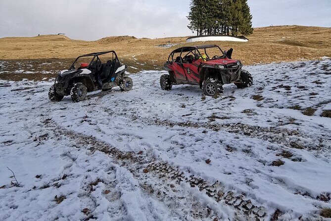 Carpathian mountains Snowmobile, ATV or Buggy tour in one day - Value for money: what you’re really paying for at $403.34