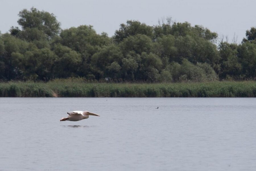 Danube Delta - 2-Day Tour from Bucharest - Practical notes: what to bring and what to know