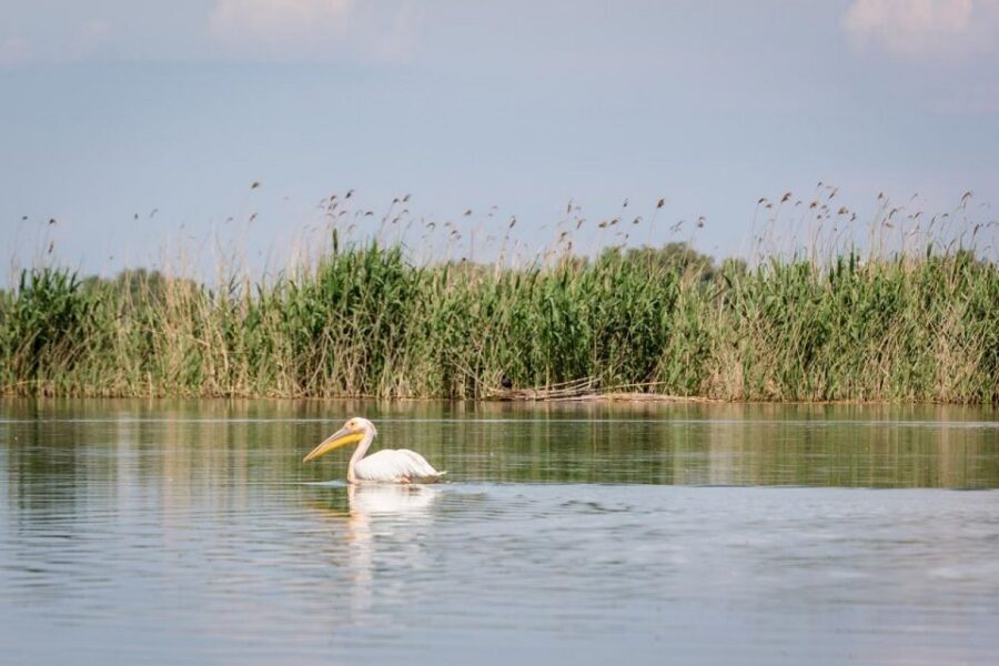 Danube Delta - 2-Day Tour from Bucharest - Price and value: is $505 fair for this 2-day combo?