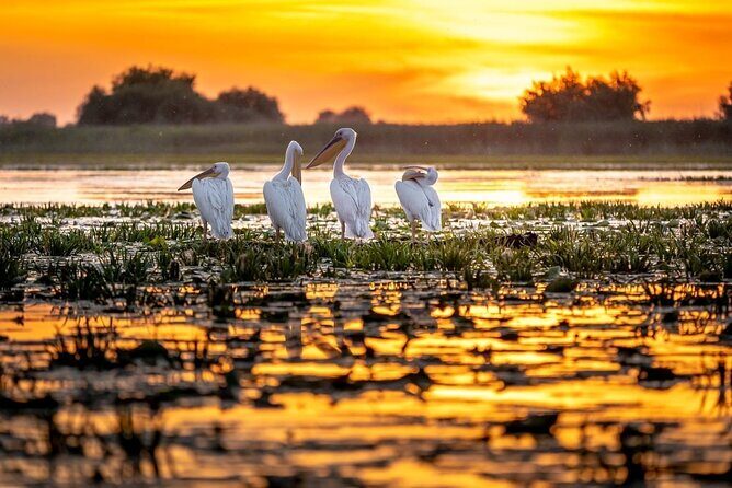 Danube Delta and Black See - 2 Days Private Tour from Bucharest - A private licensed guide/driver turns logistics into part of the experience