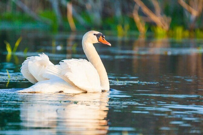 Danube Delta and Black See - 2 Days Private Tour from Bucharest - Price and value: what you’re paying for