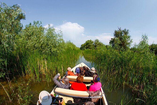 Danube Delta - Private Tour with Boat Trip & Traditional Lunch - The long road out of Bucharest (and why you’ll forgive it)