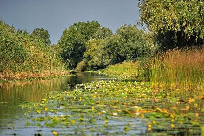 Day Trip from Bucharest to Danube Delta - The heart of the trip: a 4–5 hour guided boat ride in UNESCO wetlands