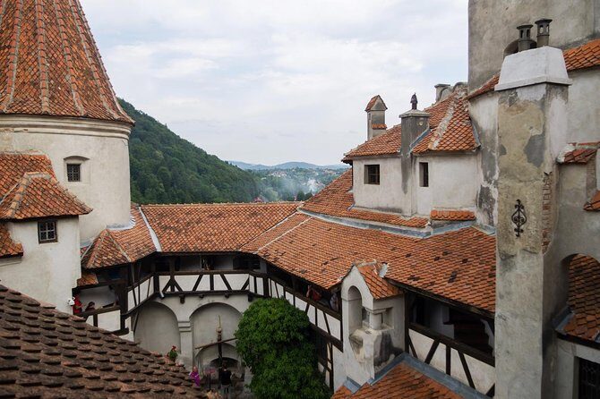 Dracula and Peles Castles Premium Tour with Hotel pick-up - Timing the Whole Day: Long Hours, Fast Decisions