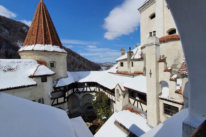 Dracula Castle, Peles and Transylvania, Premium Private Tour - The guide experience: what certified English helps you do