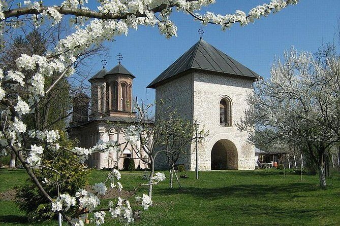 Dracula's Tomb and Mogosoaia Palace, Private Tour from Bucharest - Timing and Logistics: A Half-Day Plan That Actually Works