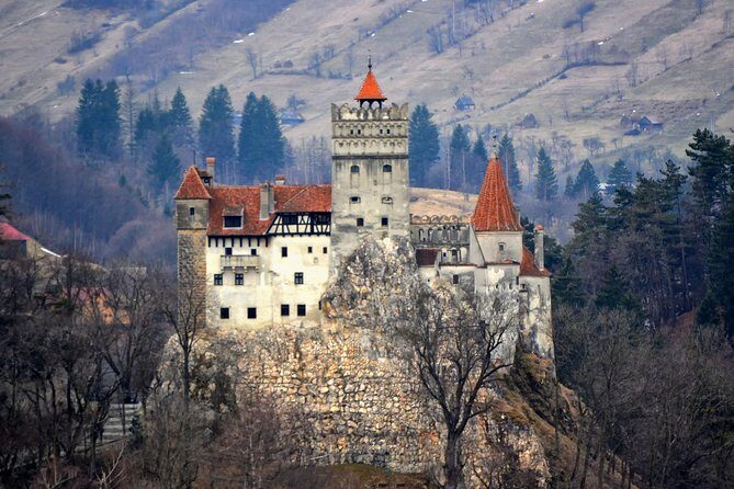 Explore Transylvania: Dracula, Peles Castle & Brasov Private Tour - Bran Castle: Famous Dracula Landmark, Plus the Gardens View