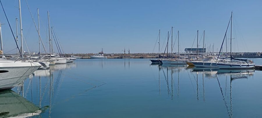 From Bucharest: Black Sea Constanța Day Tour - Who should book this Constanța and Mamaia day trip