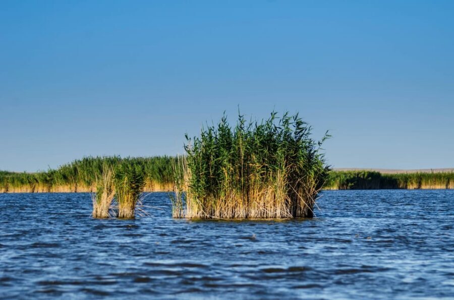 From Bucharest: Day Trip to Danube Delta - Price and value: is $135 per person fair?