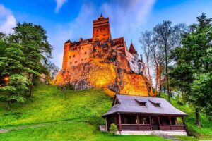 From Bucharest: Dracula's Castle, Peles Castle and Brasov Old Town Full Day Tour - Peles Castle in Sinaia: royal rooms and a real museum feel