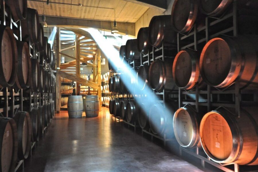 From Bucharest: Exclusive Dealu Mare Wine Tasting Tour - 1000 Chipuri Winery: Family Craft and Barrell-Tank Comparisons