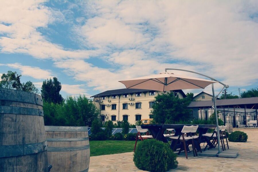 From Bucharest: Exclusive Dealu Mare Wine Tasting Tour - Scenery and the Old Wine Road: The In-Between Moments Matter