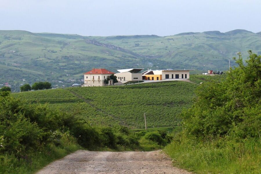 From Bucharest: Exclusive Dealu Mare Wine Tasting Tour - Price and Value: Is $260 per Person Worth It?