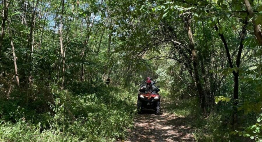 From Bucharest: Forest and Hills ATV Quad Bike Tour - Weather and cancellation: how they handle disruptions