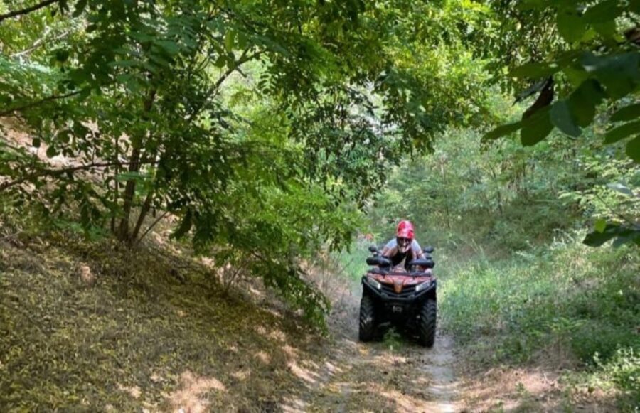 From Bucharest: Forest and Hills ATV Quad Bike Tour - The real “adrenaline” part: learning control without pressure