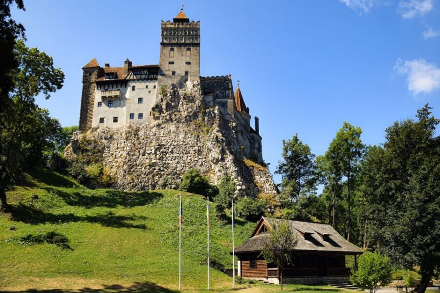 From Bucharest: Libearty Bear Sanctuary and Dracula's Castle - Bucharest to Transylvania in 10 Hours: Plan Your Day, Not Your Mood