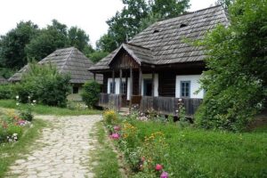 Half Day Bucharest Sightseeing Tour - Village Museum (Dimitrie Gusti): Romania’s countryside without the long drive