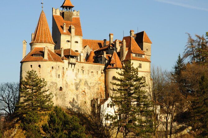 In Search of Dracula and the Teutons in Transylvania Full-Day Private Tour - Brasov: a Saxon stronghold turned modern regional hub