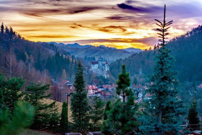 Legends&Wildlife Awaits: Dracula's Castle & Bear Sanctuary - Carpathian Drive Time: When the Ride Is Part of the Experience