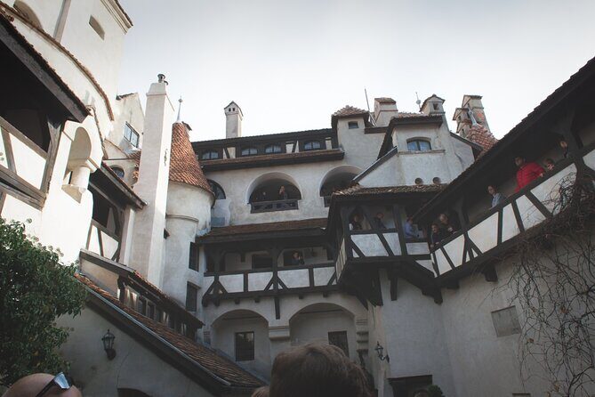 Legends&Wildlife Awaits: Dracula's Castle & Bear Sanctuary - Timing, Tickets, and How to Avoid Stress
