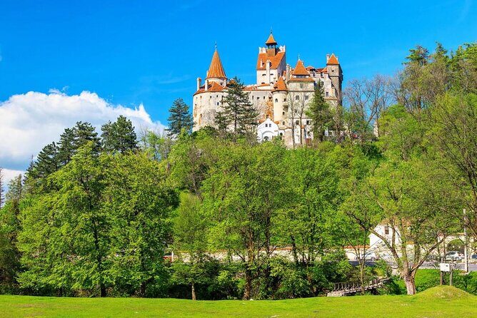Libearty Bear Sanctuary and Dracula's Castle - Day Tour from Bucharest - Key things to know before you go