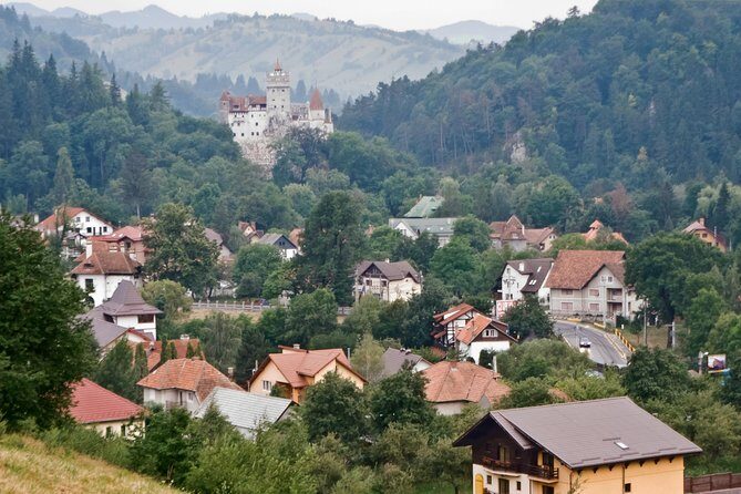 Libearty Bear Sanctuary and Dracula's Castle - Day Tour from Bucharest - Planning your Libearty timing: food, shoes, and energy