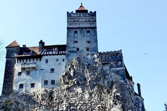 Libearty Bear Sanctuary and Dracula's Castle - Day Tour from Bucharest - Who this tour suits best (and who should pick a different plan)