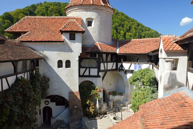 One Day Private Tour to Peles and Dracula Castles & Brasov City - Private Pickup from Bucharest: The Comfort Factor You’ll Notice
