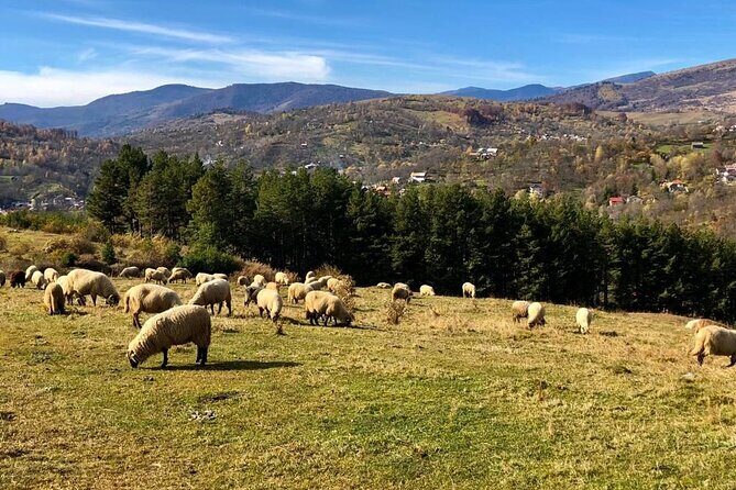 Original Carpathian Village Experience and Sinaia in one day tour - From Bucharest at 9:00 to the mountains: how the timing really works