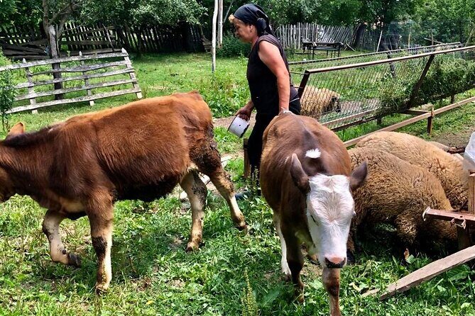 Original Carpathian Village Experience and Sinaia in one day tour - Fortified church villages: the story behind how people lived