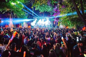 Party Concierge (digital service) - The 1-hour virtual meet-and-greet: where your plan gets locked