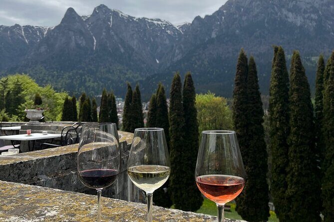 Peles & Cantacuzino Castles: Gourmet Wine & Cultural Day trip - November Change: When Peleș Is Closed, Pelisor Steps In