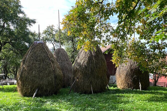 Peles castle and authentic Romanian village experience - day trip - Secăria village experience: lunch with locals and a slow look at daily life