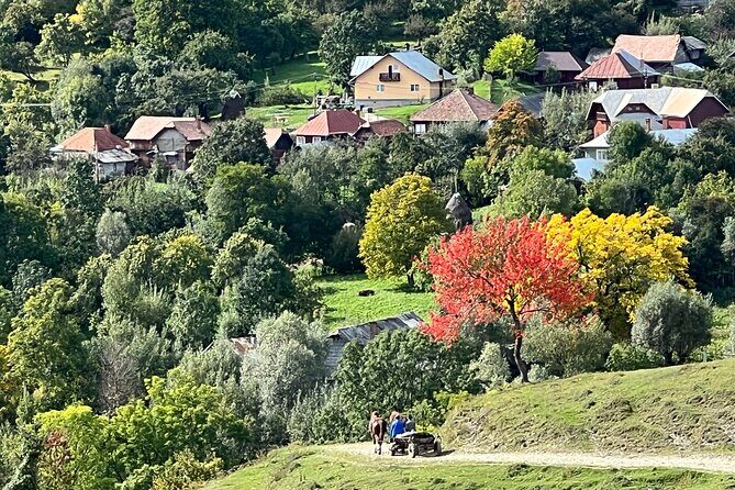 Peles castle and authentic Romanian village experience - day trip - Price and value: what $301 buys you on a 12-hour itinerary