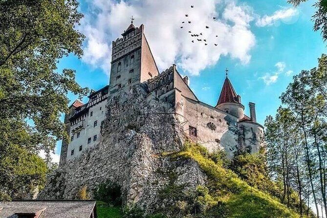 Premium 8-Day Private Culinary Vacation in Romania - Ceptura and Buzău Vineyards: A Wine Day Built for Real Tastes