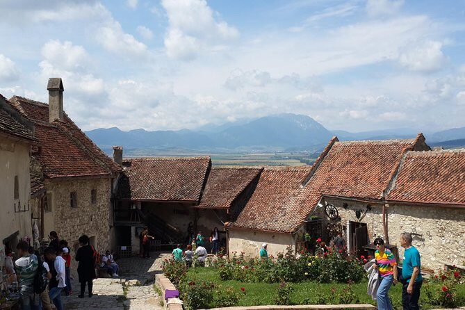 Premium Private 3-Day Best of Transylvania Tour Bucharest Hotel Pick Up/Drop Off - Bears at Libearty Bear Sanctuary Zarnesti: forest visits with a purpose