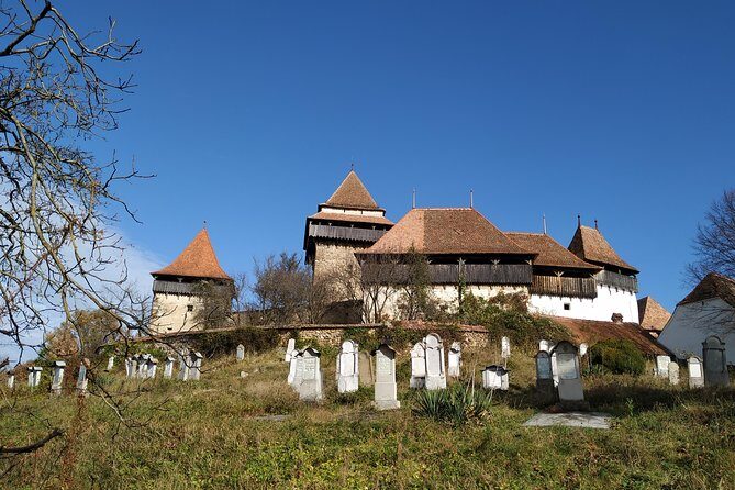 Private 5-Day Tour in Transylvania from Bucharest Hotel Pick-up and Drop off - Day 2: Bear Sanctuary in Zărnești, then Viscri’s fortified church and Sighisoara’s medieval core