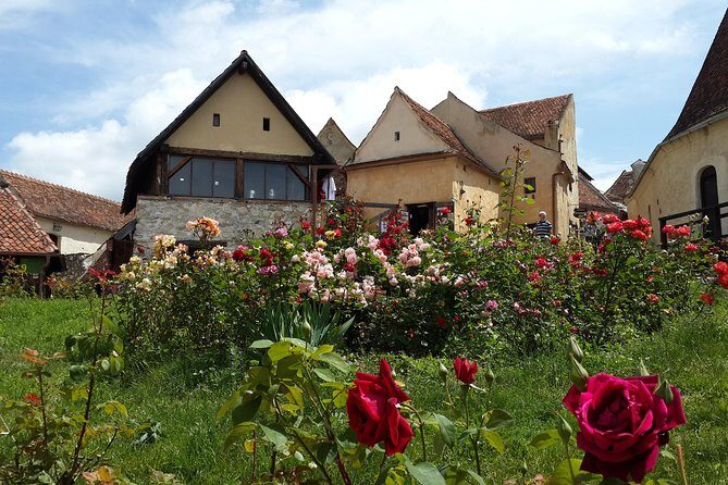 Private 5-Day Tour in Transylvania from Bucharest Hotel Pick-up and Drop off - Day 4: Hunyad Castle’s dark drama and Alba Iulia’s star-shaped fortress