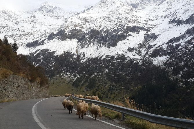 Private 6-Day Dracula Tour in Transylvania from Bucharest - Day 1: Curtea de Argeș, Poienari’s 1,480 stairs, and the Transfăgărășan Top Gear road