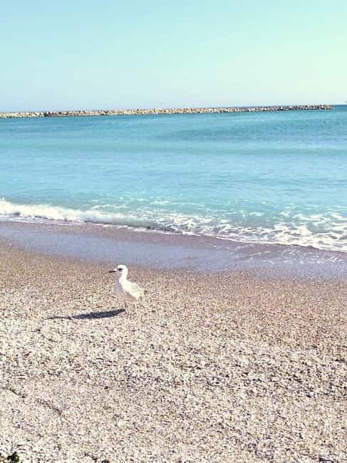 Private Bucharest Tour: Discover Constanța & Black Sea Coast - Who This Tour Fits Best (and Who Should Rethink It)