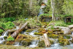 Private Daytrip Hike to Bucegi Mountains - Getting there from Bucharest in comfort (the red SUV part)
