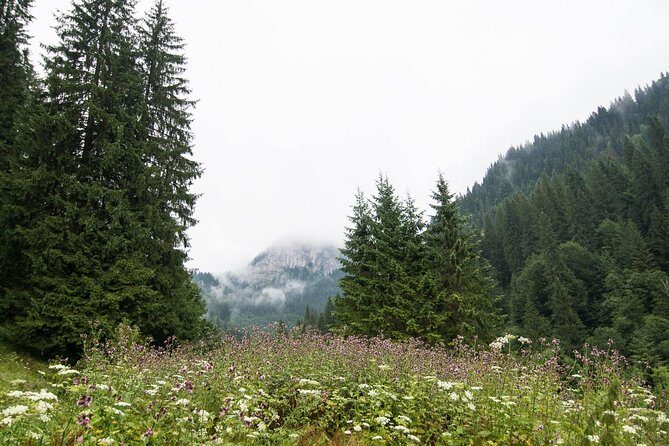 Private Daytrip Hike to Bucegi Mountains - Zănoaga Dreamland: where the hiking magic happens