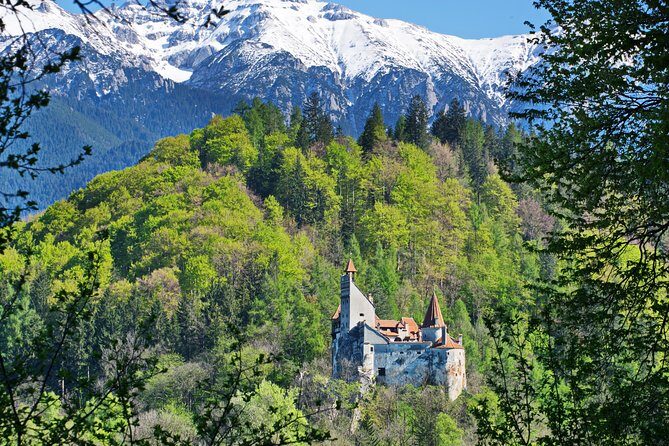 Private Movie Castles at Peles, Cantacuzino and Bran Castle Tour - Key things to know before you go