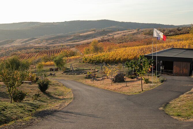 Private Tasting Expedition Along Romania’s Most Famous Wine Route - Quick hits on Dealu Mare, two cellars, and a private day