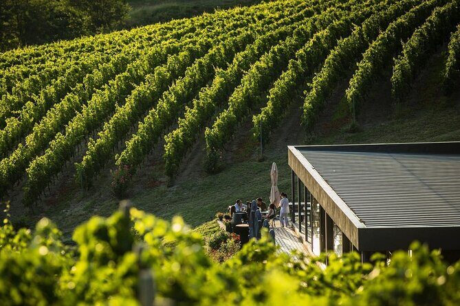 Private Tasting Expedition Along Romania’s Most Famous Wine Route - Bucharest pickup at 9:00 and the road to Dealu Mare